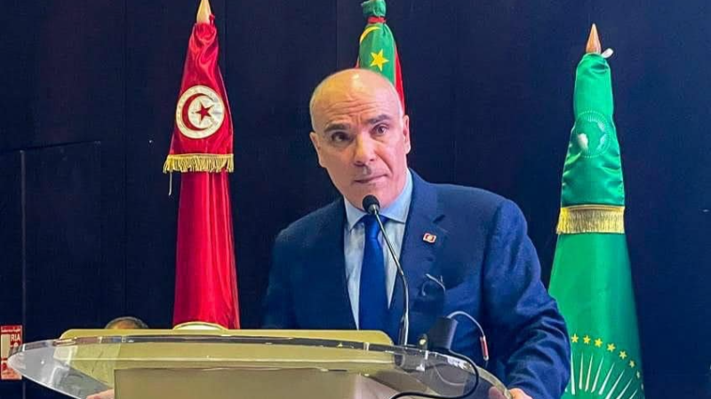 نبيل عمار: تونس تعمل على ضمان العودة الطوعية للمهاجرين غير الشرعيين