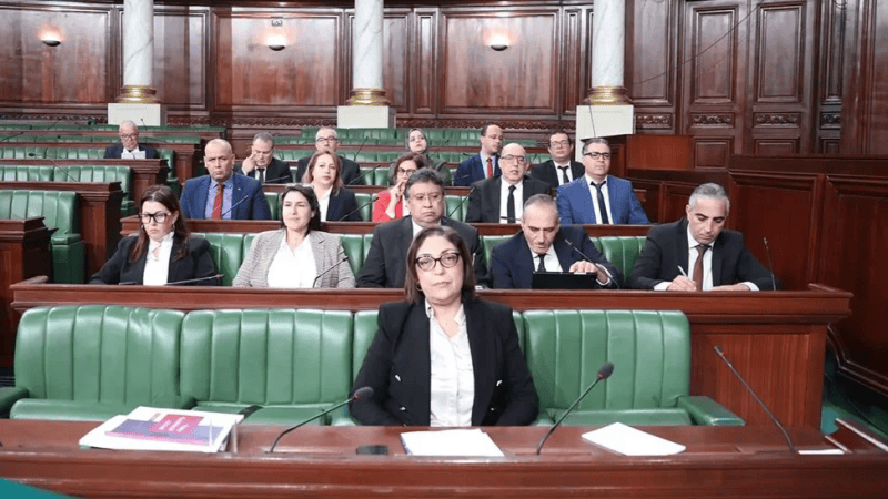 وزيرة التجارة: شركة اللحوم غير قادرة على استيراد الأغنام..