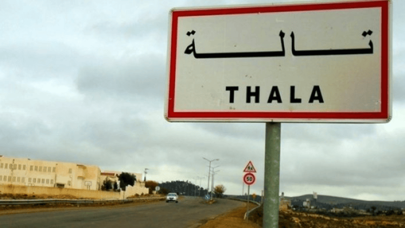 تالة: مشروع رائد يشمل 150 فلاحا ويوفر الحليب واللحوم والأجبان تالة: مشروع رائد يشمل 150 فلاحا ويوفر الحليب واللحوم والأجبان