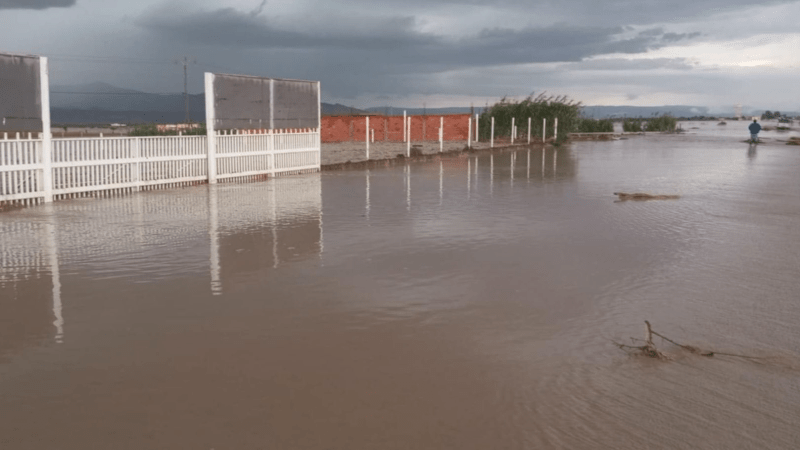 القصرين الجنوبية: أضرار في منشآت فلاحية بسبب فيضان وادي الفروخ القصرين الجنوبية: أضرار في منشآت فلاحية بسبب فيضان وادي الفروخ