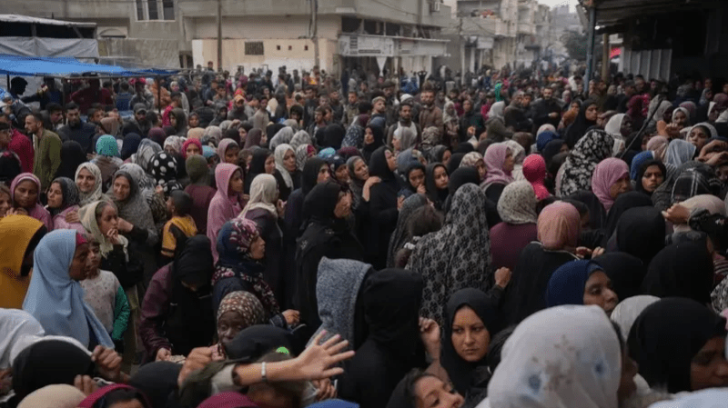 الأمم المتحدة: جوع..نهب واغتصاب..الفوضى تعمّ غزة الأمم المتحدة: جوع..نهب واغتصاب..الفوضى تعمّ غزة