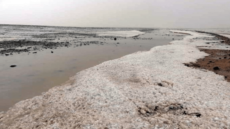 وزير البيئة في قابس: هناك توجه نحو تثمين الفوسفوجيبس وتسويقه وزير البيئة في قابس: هناك توجه نحو تثمين الفوسفوجيبس وتسويقه