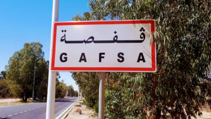 جمعي زويدي: تحويل أرض الأسقاي بقفصة لمنطقة سقوية..سيُغير وجه الجهة