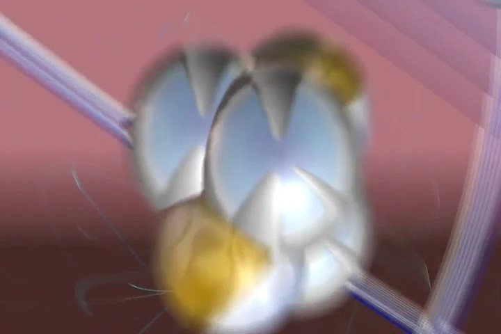 Here's a list of translations. Hindi To English Meaning Of Purse English Hindi Net