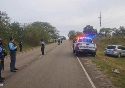 Hallan doga abandonada dentro de un carro en Olancho