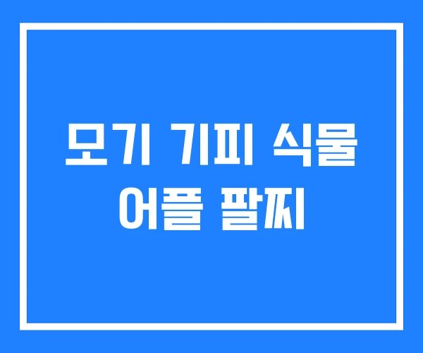 모기 기피 식물 어플 팔찌
