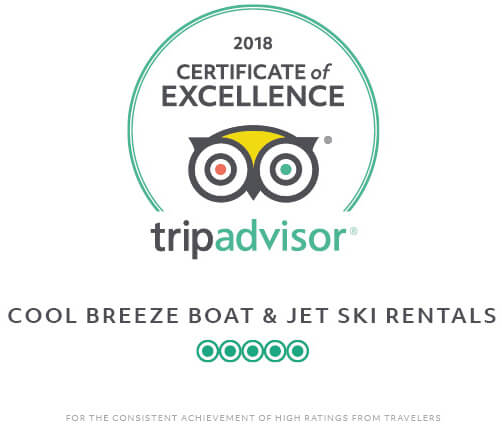 Jet ski insurance can provide financial help in the event of an accident. Kayak Rental Service in Venice, FL | Kayaking Tips