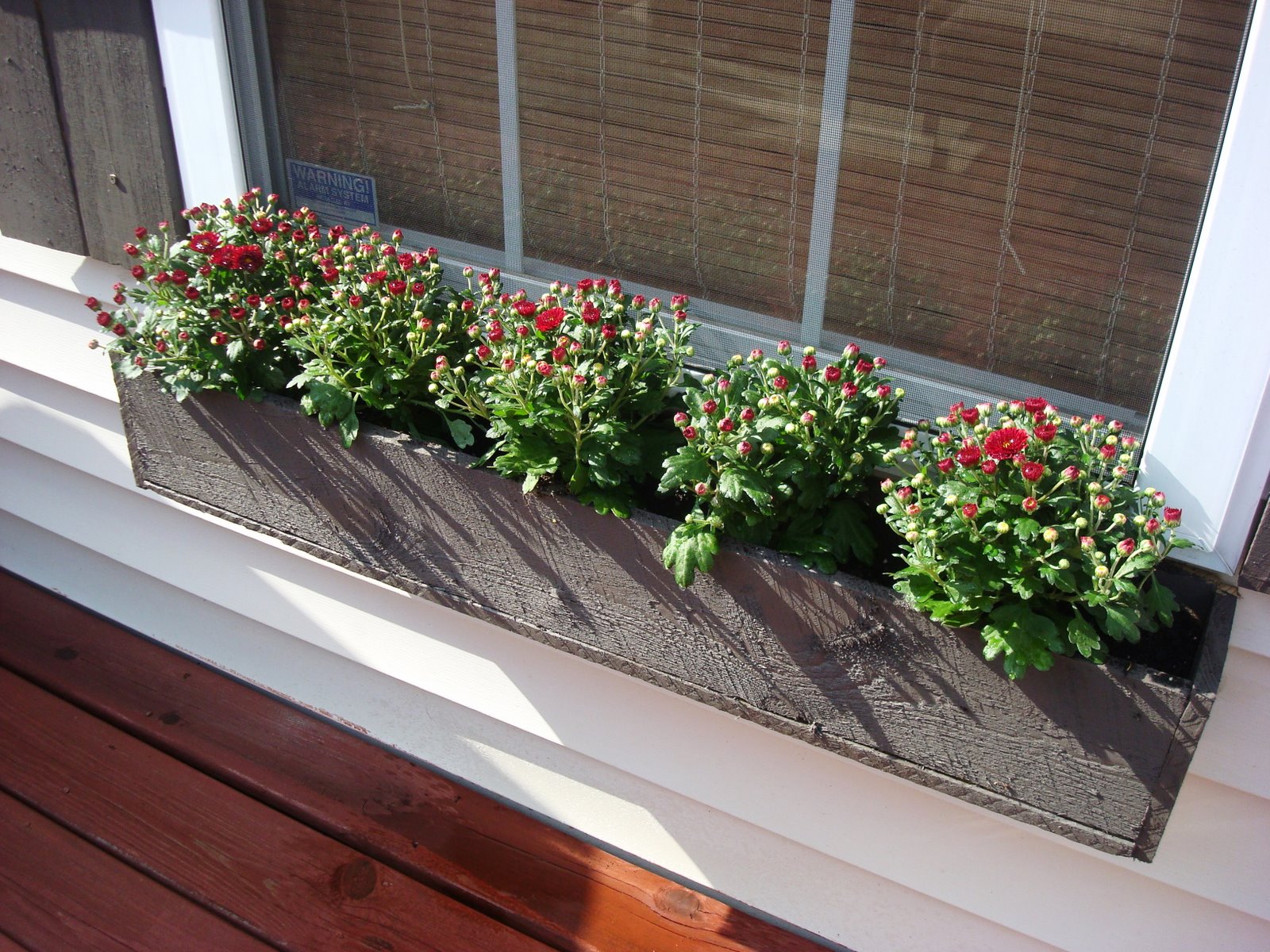 Many beautiful flower box ideas use stunning deep colors. 12 Gorgeous DIY Window Box Planters