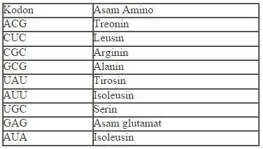 Berikut adalah tabel kodon dan asam aminonya: A&hellip;