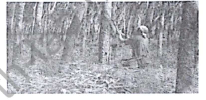 Sumber daya alam berikut dimanfaatkan untuk &hellip;.