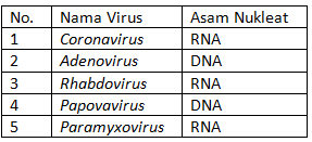 Berilah dua contoh virus DNA dan virus RNA!