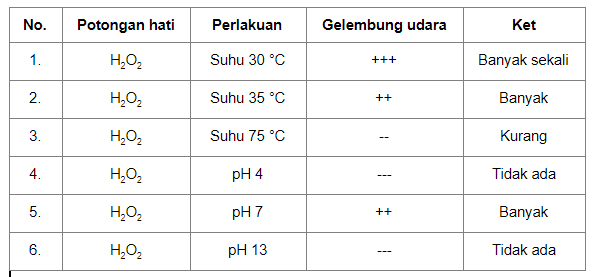 Hasil percobaan enzim katalase menggunakan potonga&hellip;
