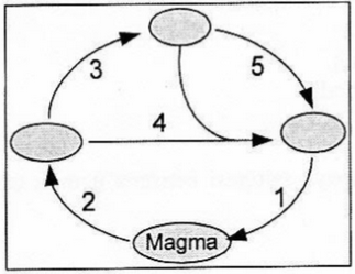 Proses pelapukan dan sedimentas pada siklus batuan&hellip;
