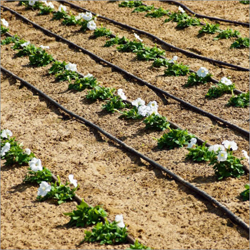 Drip Irrigation System Jaipur
