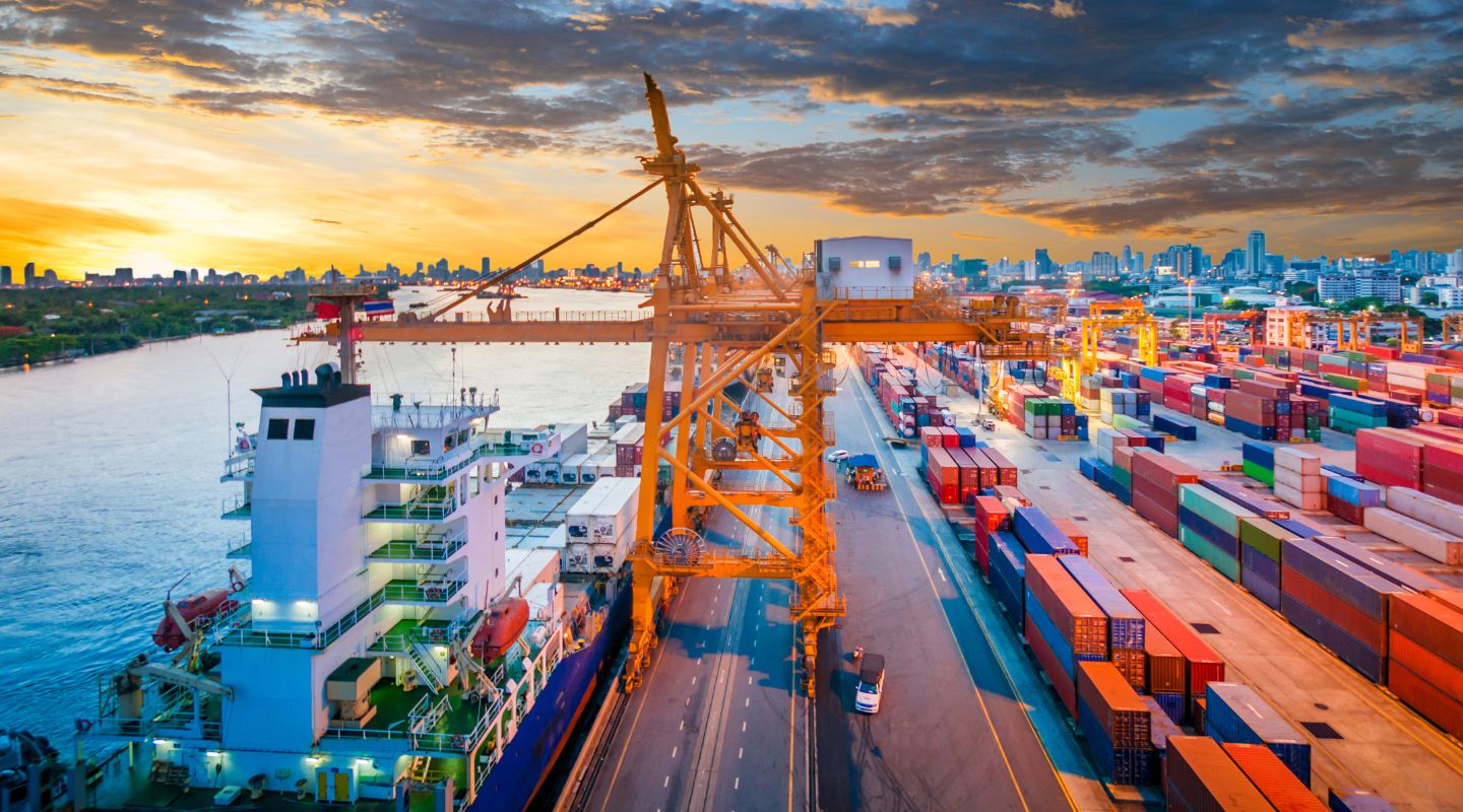 Xmas: the best illustrated books of 2022