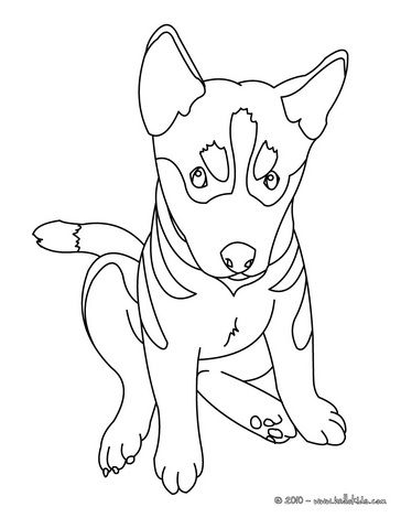 German shepherd coloring pages are a fun way for kids of all ages, adults to develop creativity, concentration, fine motor skills, and color recognition. 8 Best German Shepherd Coloring Pages Craftwhack