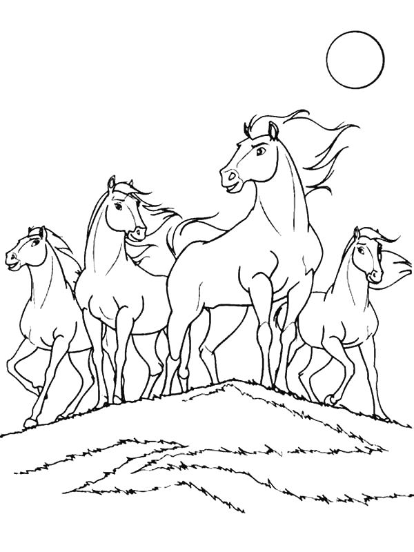 Unique spirit horse posters designed and sold by artists. 10 Fun Spirit Horse Theme Coloring Pages