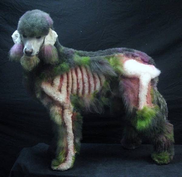 Zombie Poodle