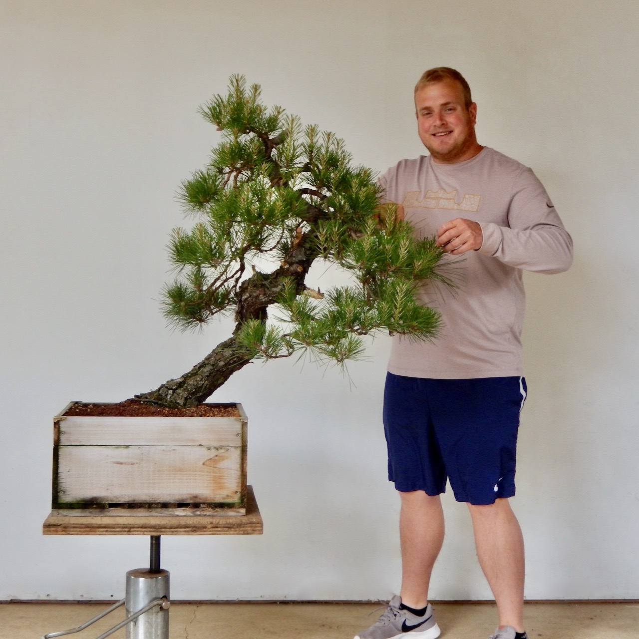 Turns out those pesky needl. Unusual Pine To Decandle Loblolly Michael Hagedorn