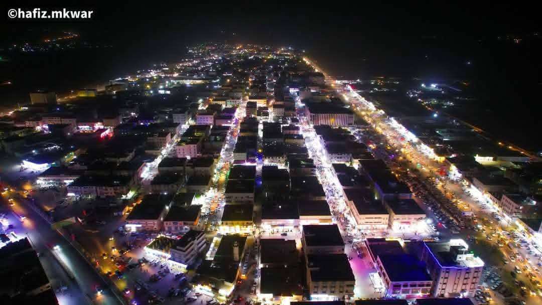 اعداد خطة متكاملة للقضاء على الكلاب