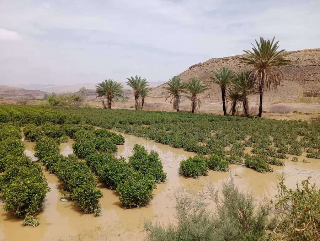أمطار غزيرة وسيول مرتقبة تضرب اليمن غدًا