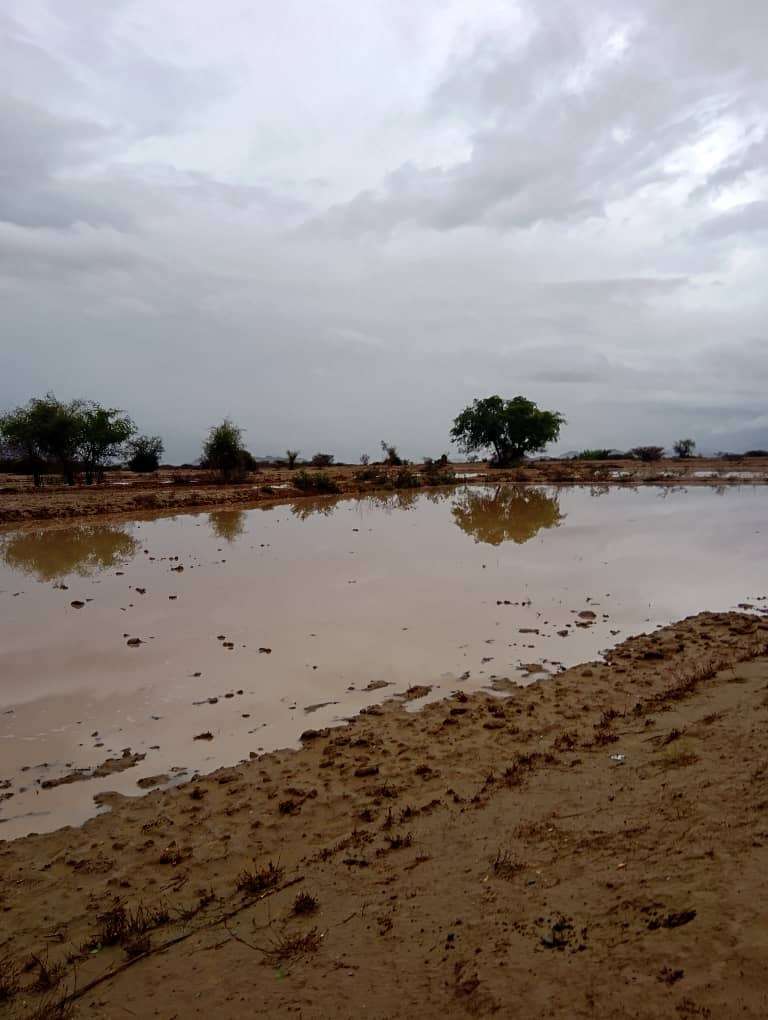 امطار غزيرة اليوم