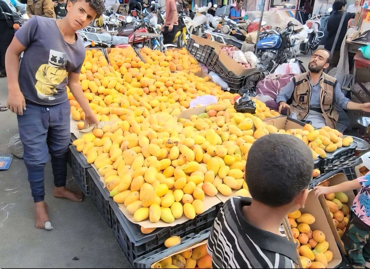 وفرة الفواكه تغرق الأسواق وخسائر للمزارعين