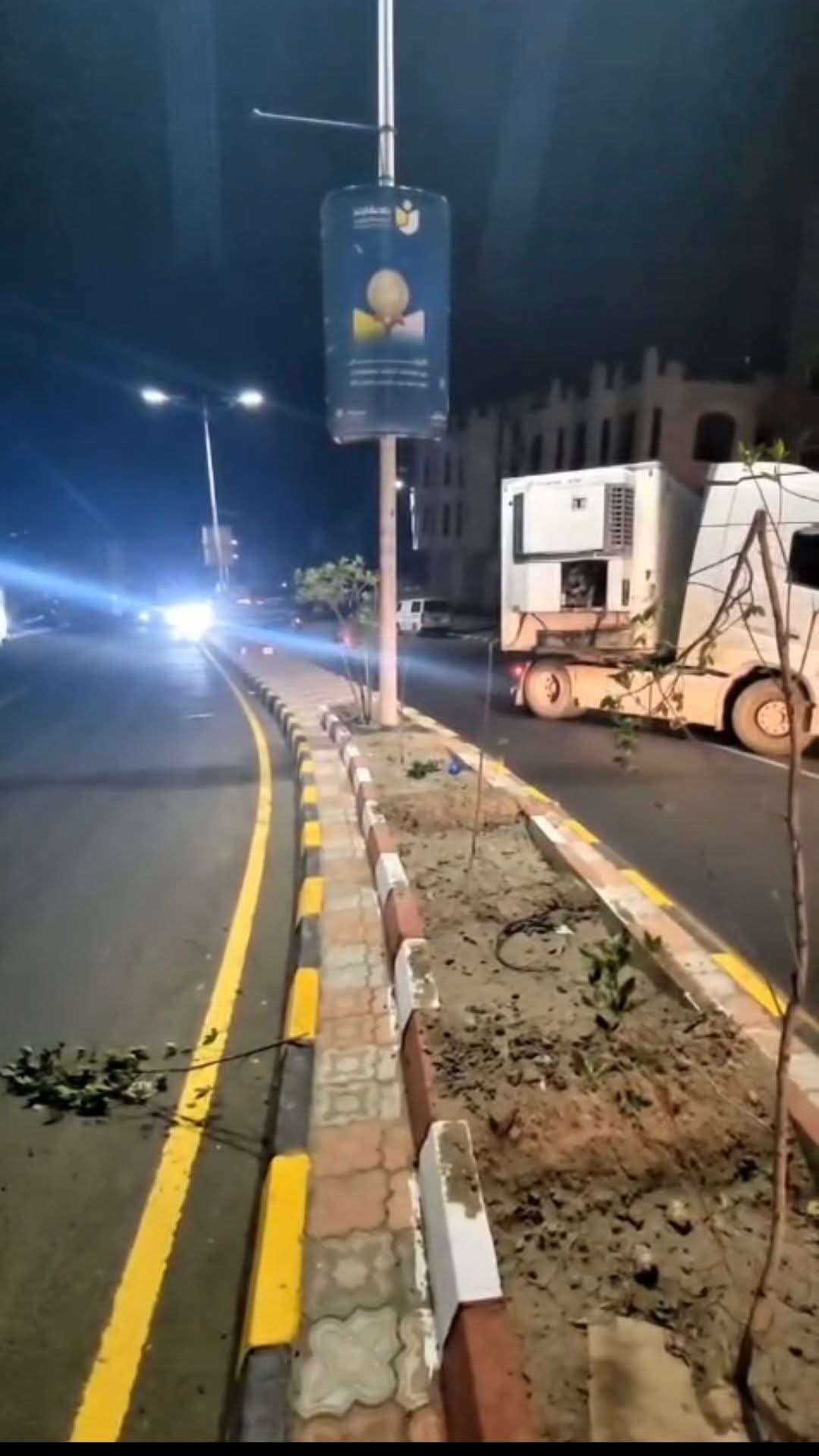 القبض على متعدٍ على الأشجار الليلة
