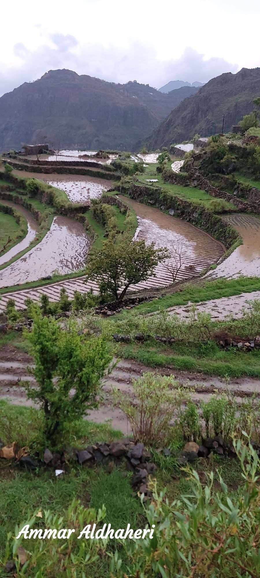 هطول أمطار غزيرة على هذه الـمحافظة