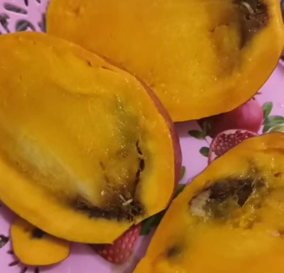 مواطنون بعدن يشكون من فساد هذه الفاكهة في الأسواق