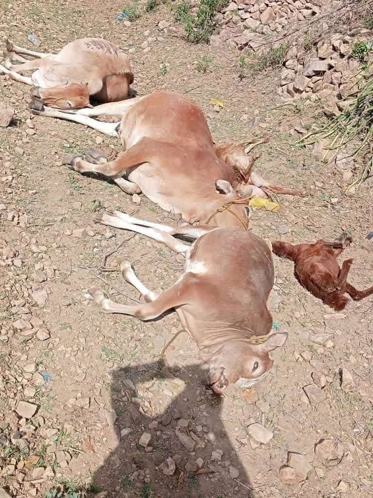 حريق منزل في صبر الموادم بتعز إثر هذا الأمر