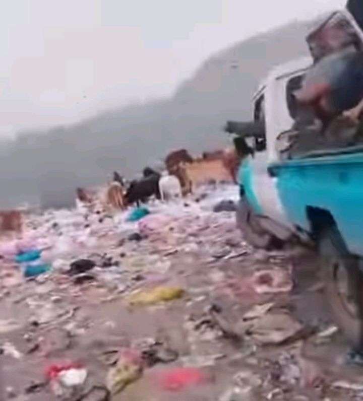تنفيذ حملة أمنية ضد المواشي