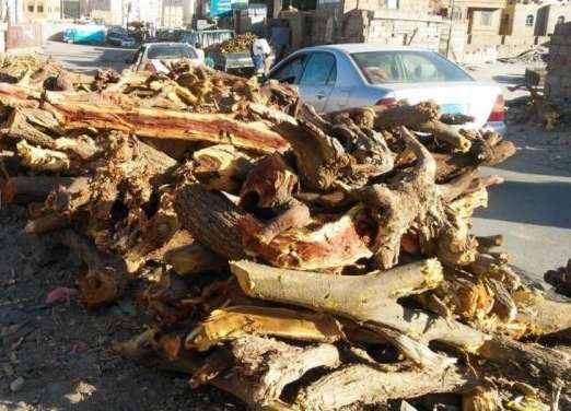 في عزّ الصيف.. أسر عدنية تعود إلى الحطب بعد اختفاء الغاز في عزّ الصيف.. أسر عدنية تعود إلى الحطب بعد اختفاء الغاز