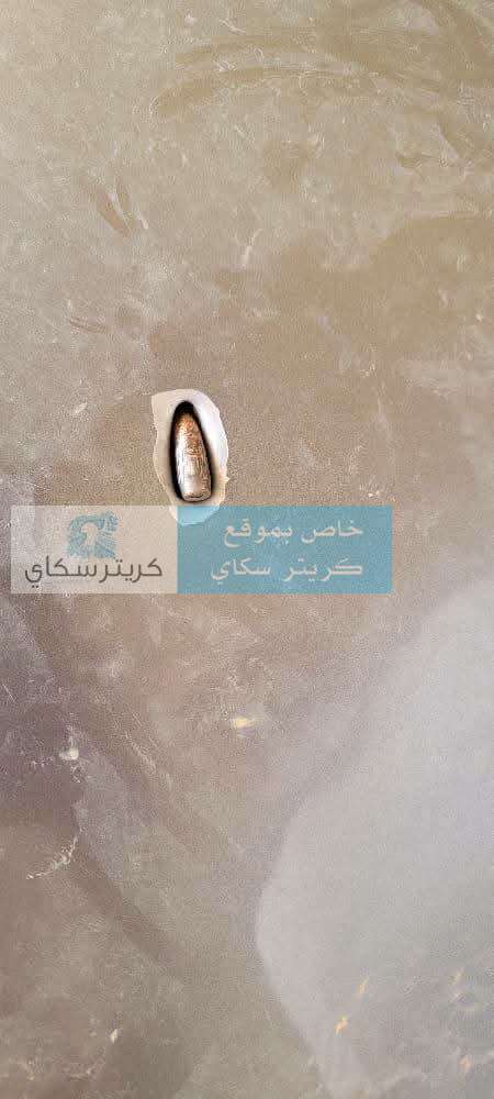 رصاصة راجعة تخترق سقف سيارة.. من يحمي أرواح المواطنين؟