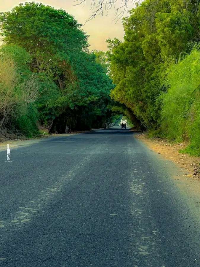 بلاطجة في أبين يشبهون امثالهم في تعز ويقومون بهذا الامر