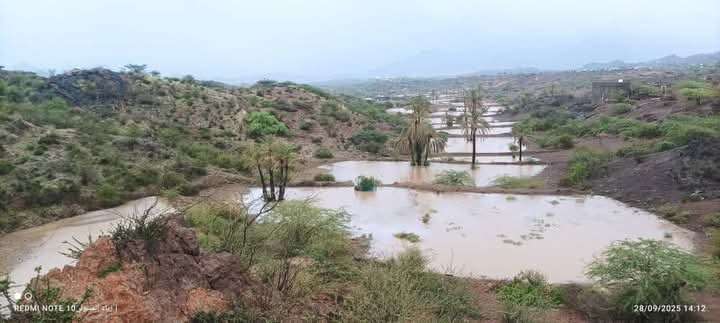 هطول أمطار غزيرة على تعز