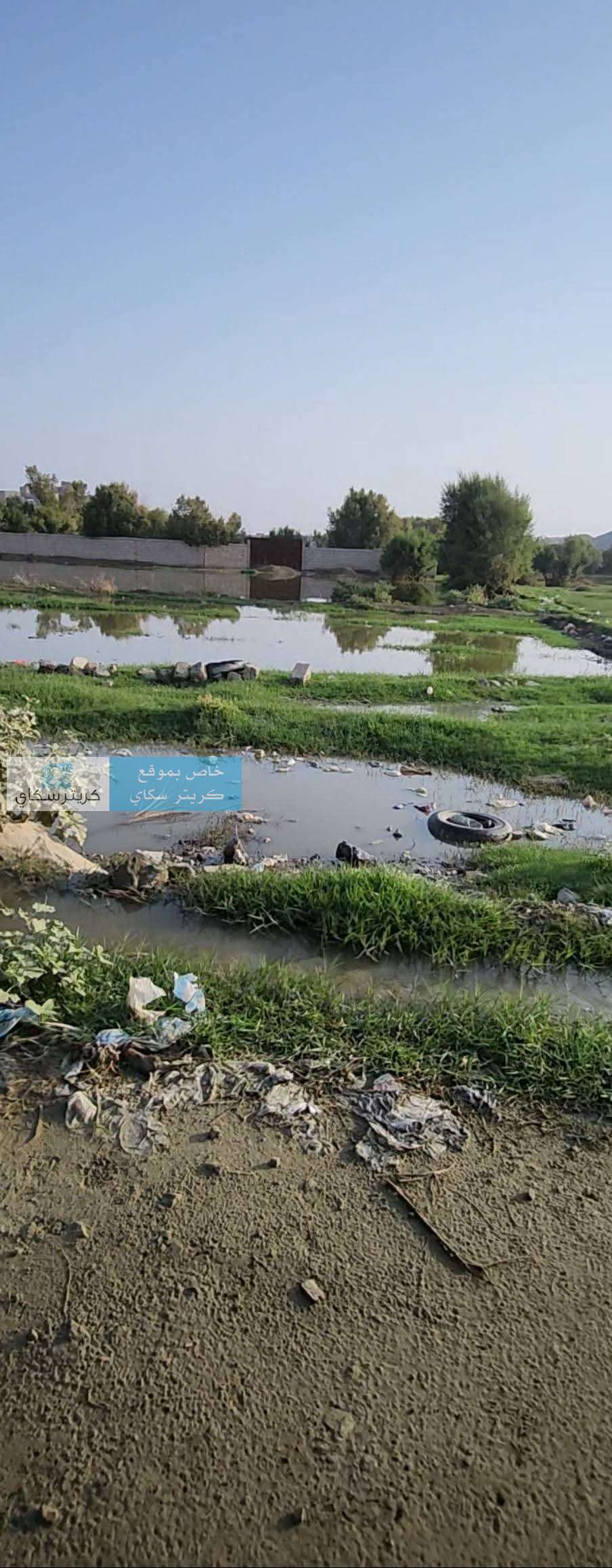 مستنقعات الصرف الصحي تهدد السكان.. والكوليرا تطرق الأبواب