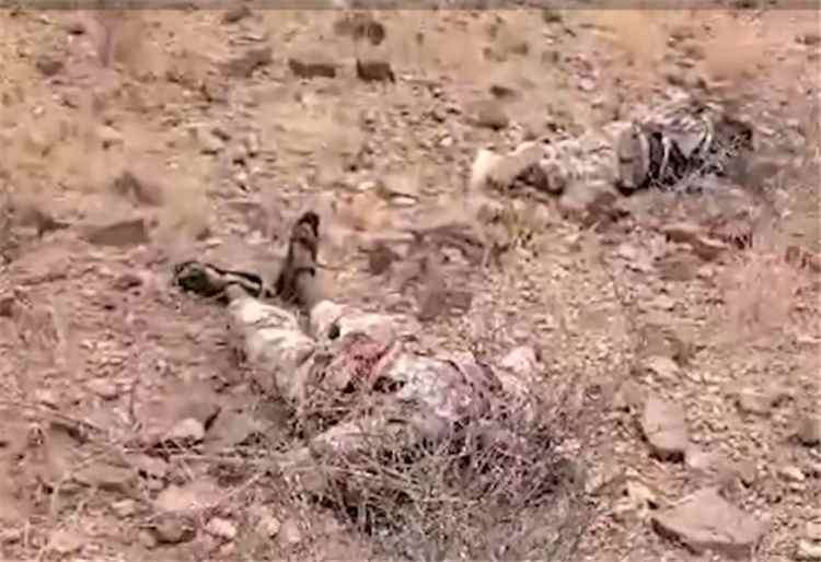 الإعلام العسكري: العثور على جثث لعناصر من حركة الشباب الصومالية ضمن قتلى الحوثيين في الساحل الغربي