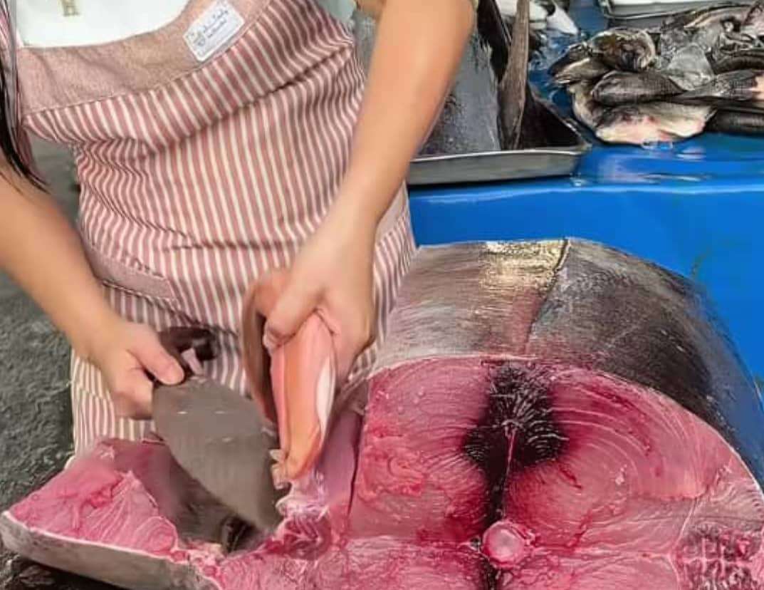 اسماك عدن تبدأ أسعارها بالنزول والثمد يصل سعره إلى 10 الف