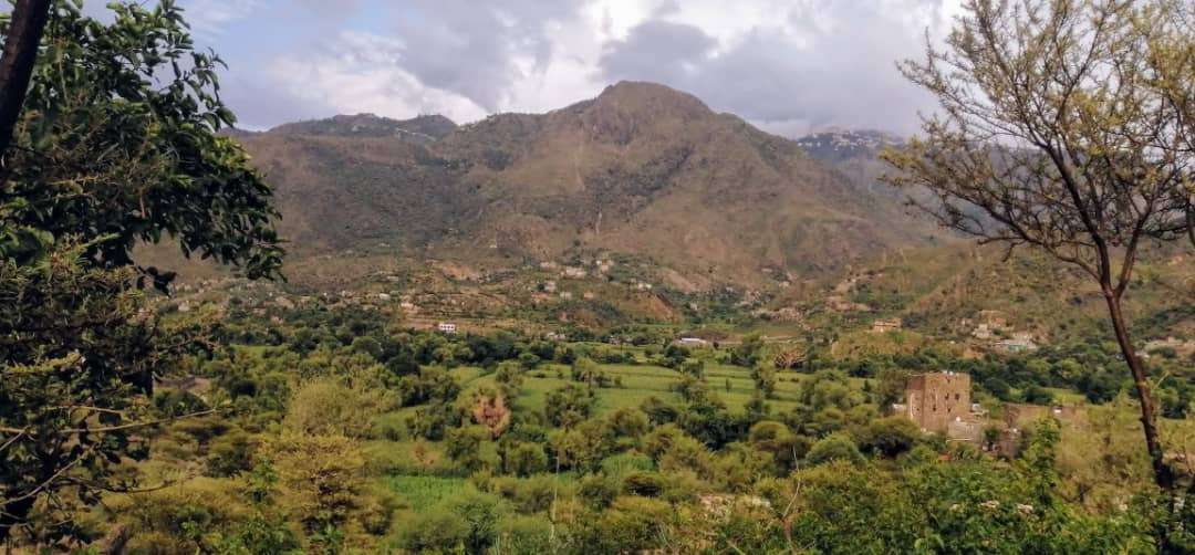 هل تغيرت خارطة السيطرة في وادي الضباب؟ تفاصيل الوضع الميداني وفق إفادات من الجبهة