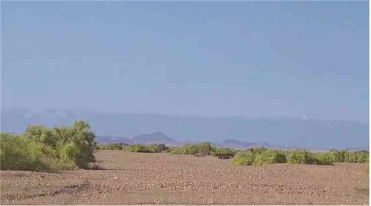 مصرع 4 أشخاص بينهم طفل بانفجار عبوة ناسفة في جنوب الحديدة