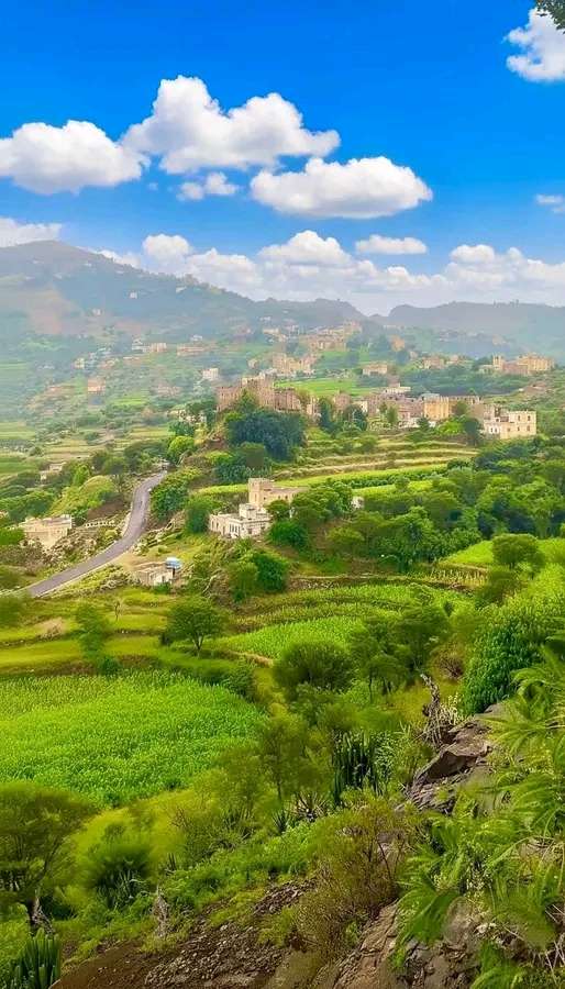 رصاصة غير مقصودة تقتل مواطن، وقبليته تعلن هذا الأمر