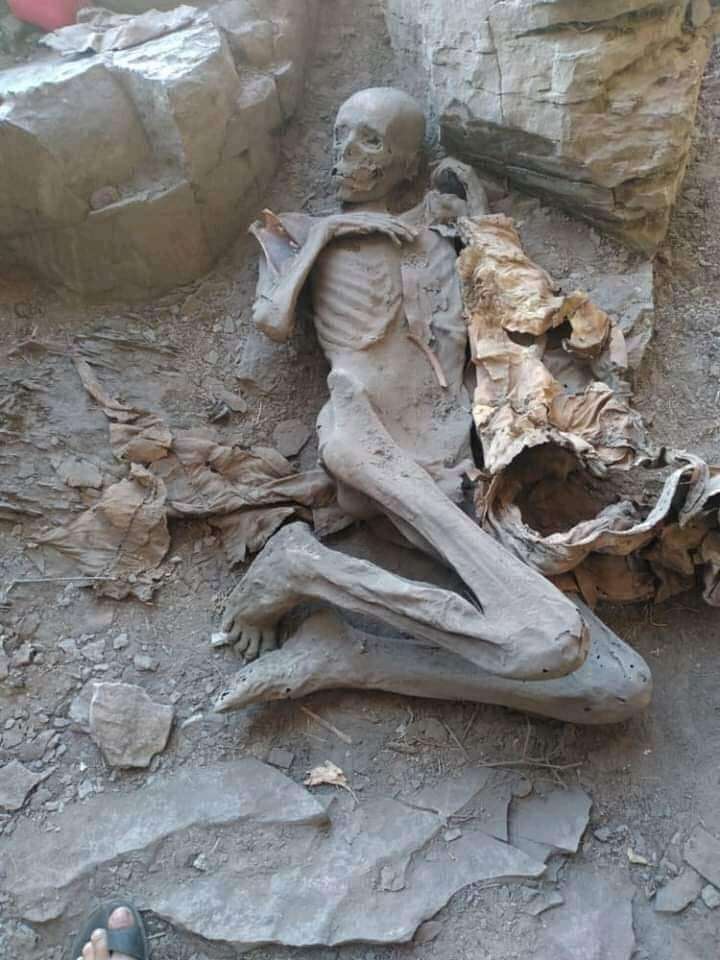 العثور على مومياء في إب