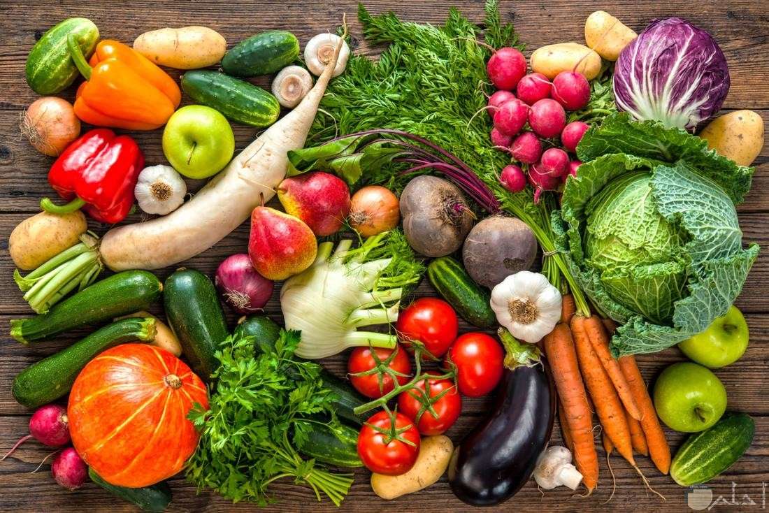 تعرف على أسعار الخضروات والفواكة اليوم الجمعة في العاصمة عدن