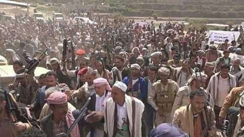 أبناء محافظة تعز يلبون نداء المحافظ نبيل شمسان أبناء محافظة تعز يلبون نداء المحافظ نبيل شمسان