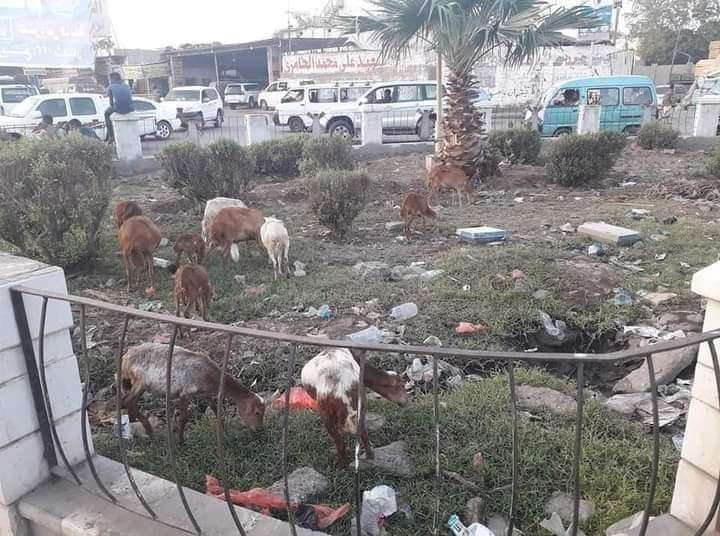صورة وحدث..هكذا تحول المدخل نحو مدينة الشيخ عثمان