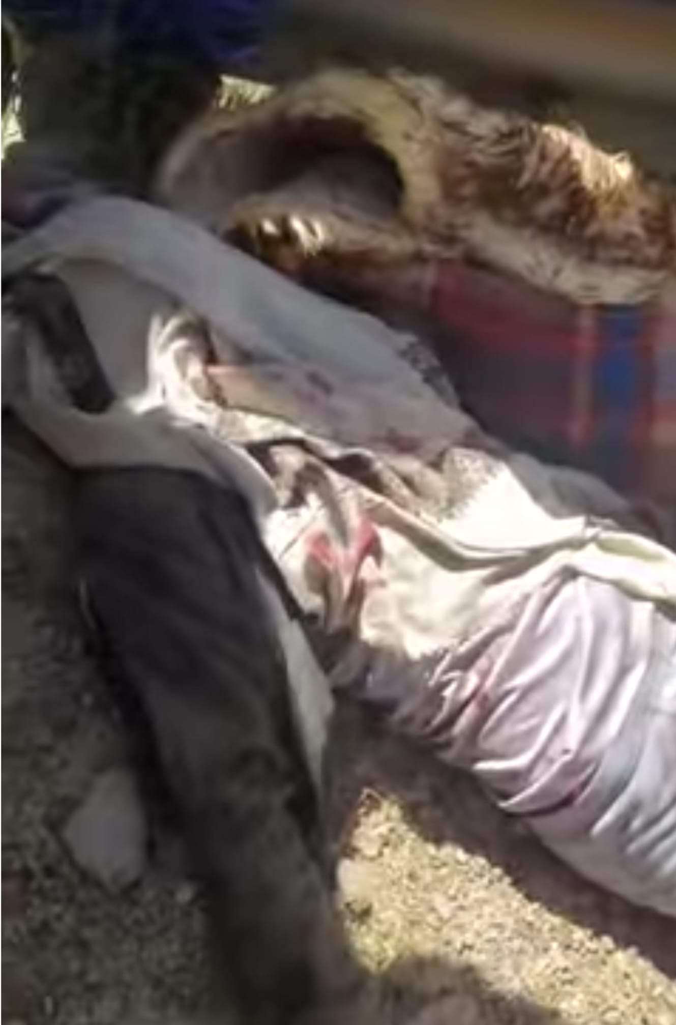 وفيات جراء حادث مروري مروع بنقيل سمارة وفيات جراء حادث مروري مروع بنقيل سمارة