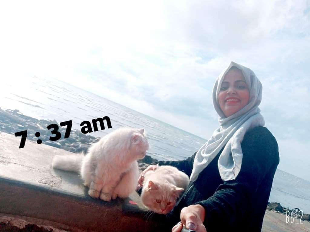 الدكتورة السعدي تتحدث عن لجنة التحقيق ماذا قالت؟ الدكتورة السعدي تتحدث عن لجنة التحقيق ماذا قالت؟