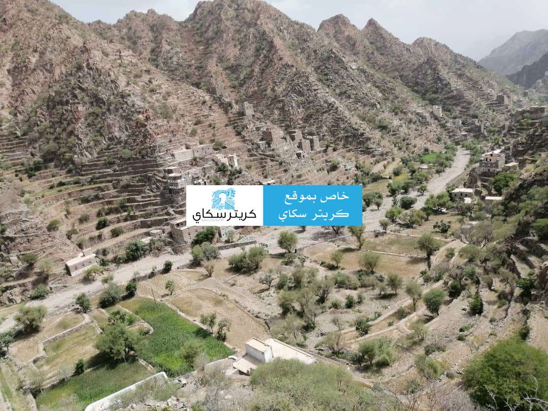 قوات أمنية تستهدف المسافرين في القبيطة قوات أمنية تستهدف المسافرين في القبيطة