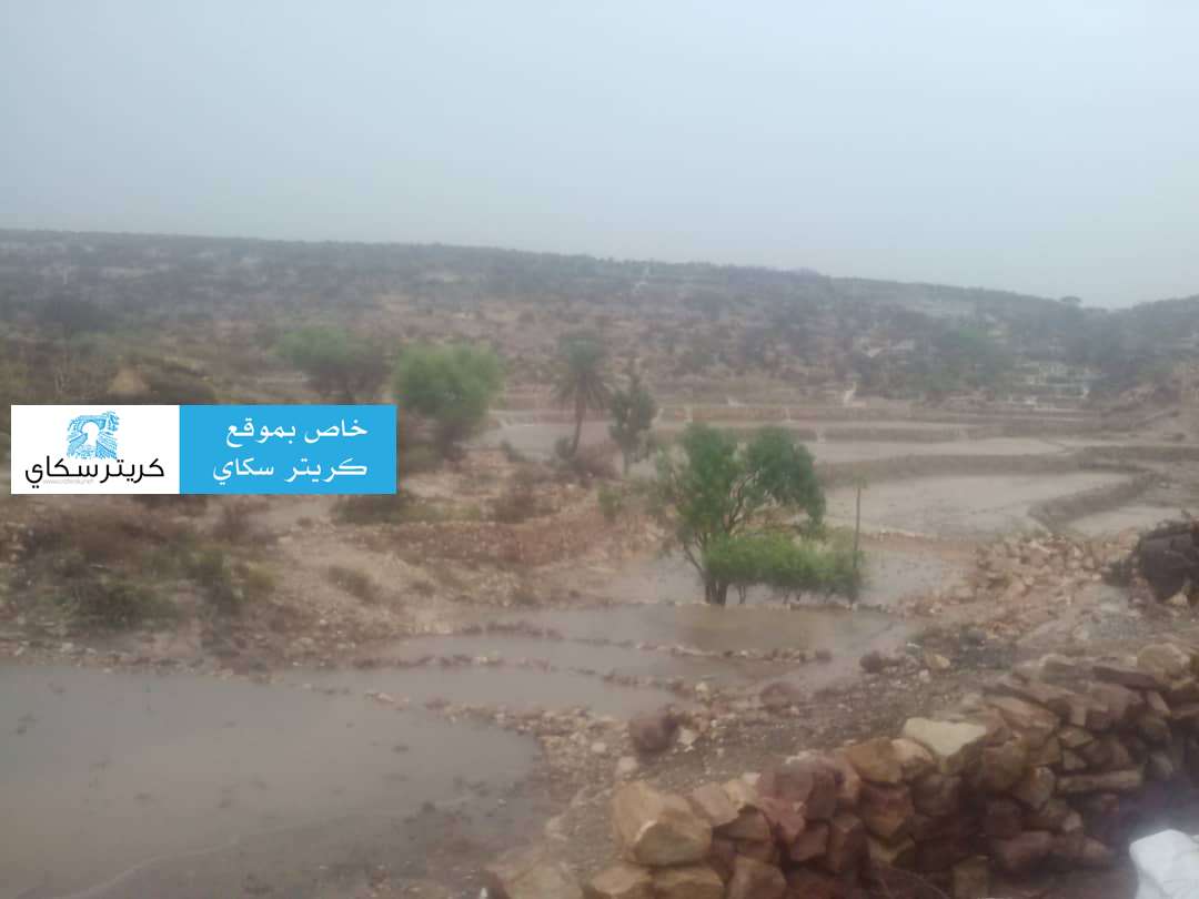 عاجل :هطول امطار غزيرة على تعز(صور)